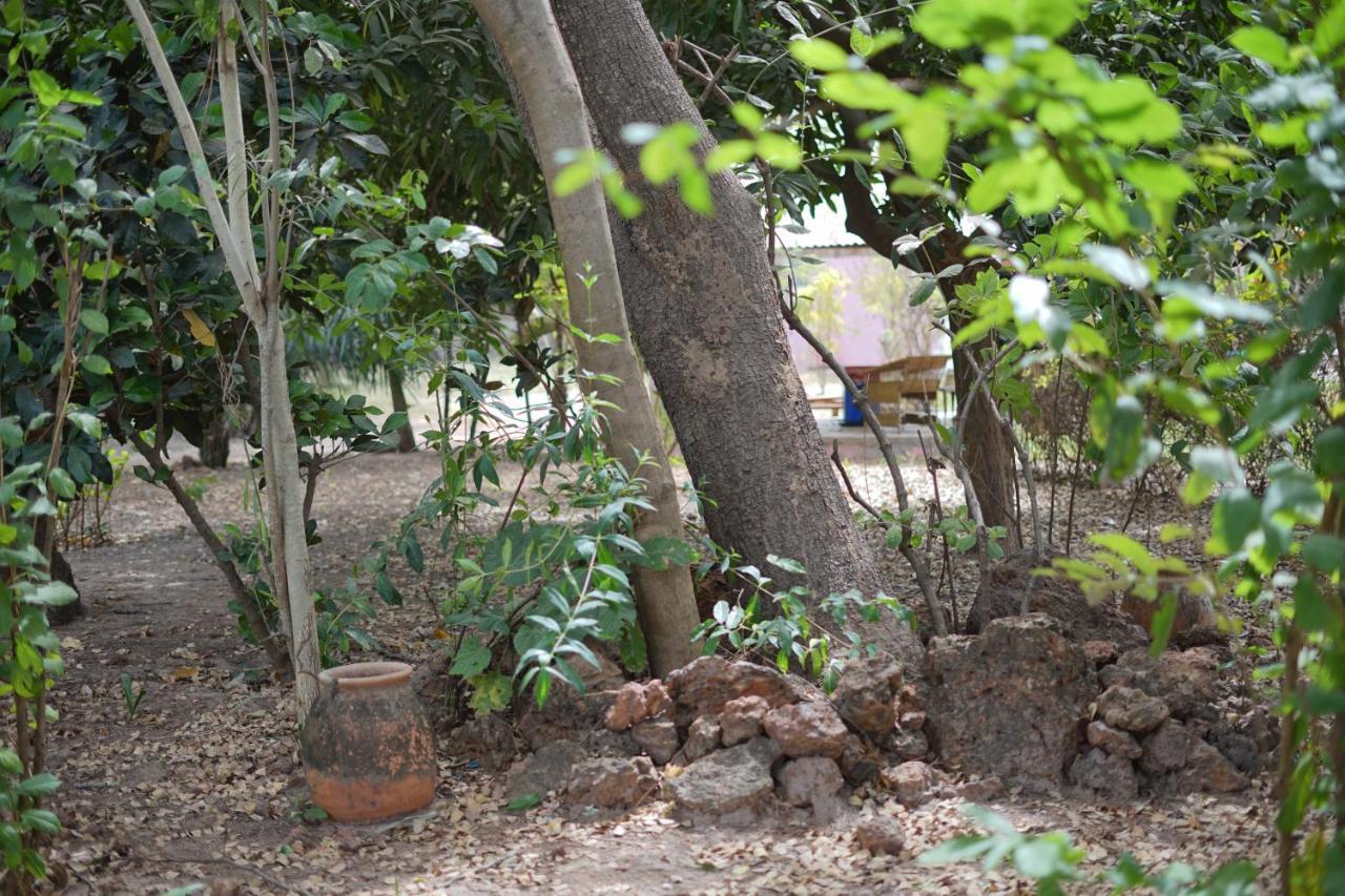 Villa Amarant - Private Garden With Pool Retreat Sanyang Экстерьер фото