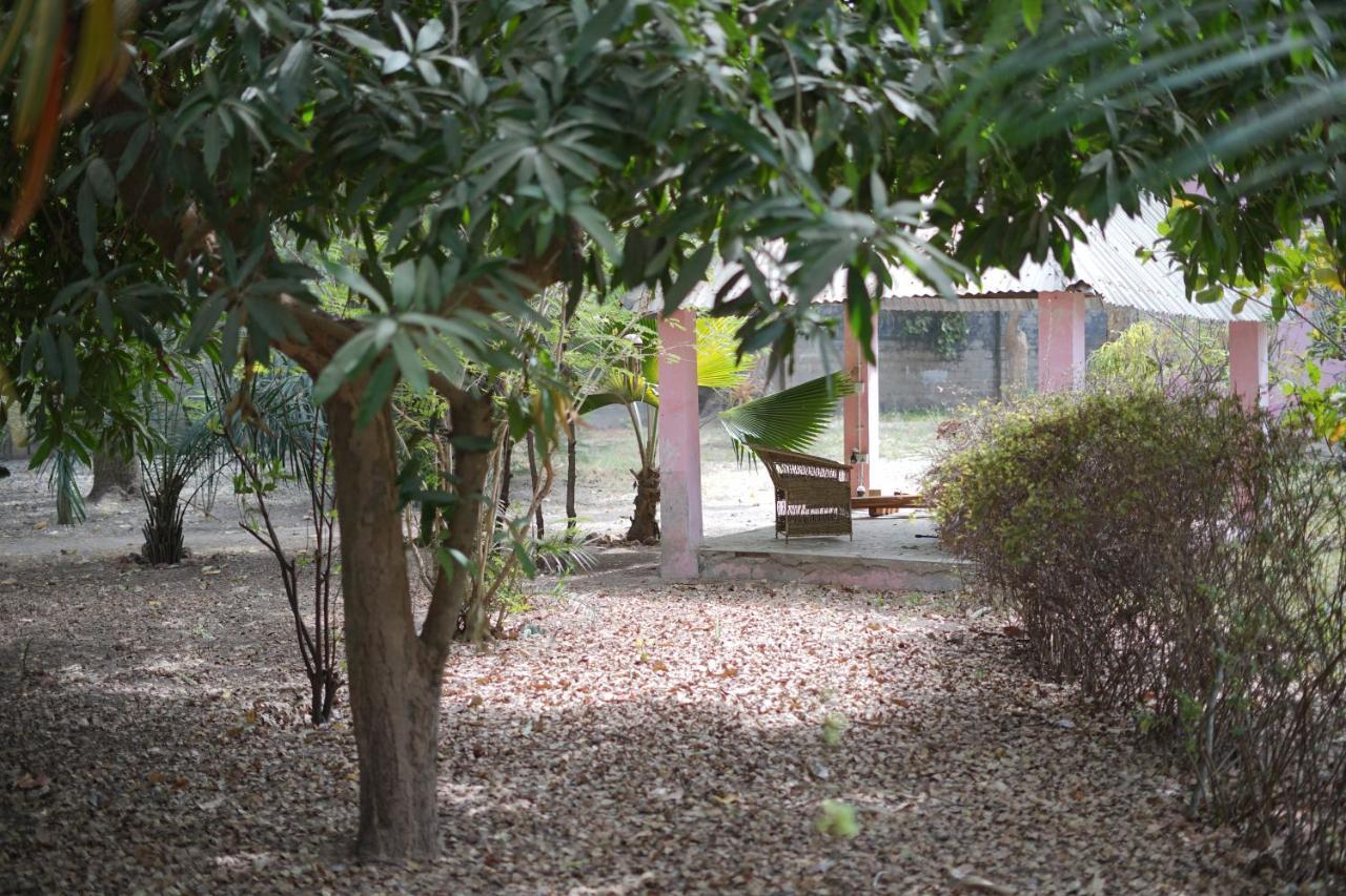 Villa Amarant - Private Garden With Pool Retreat Sanyang Экстерьер фото
